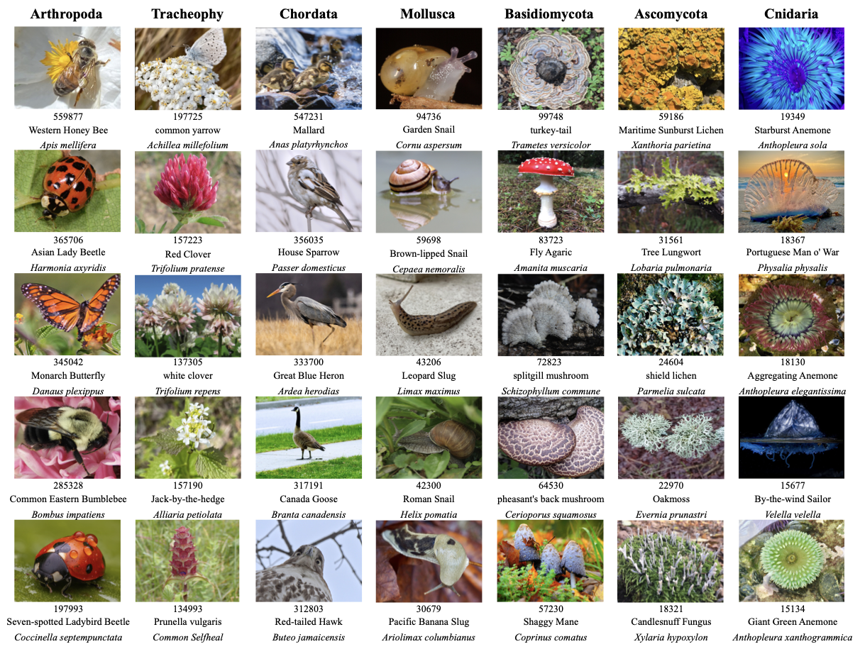 BioTrove NeurIPS 2024